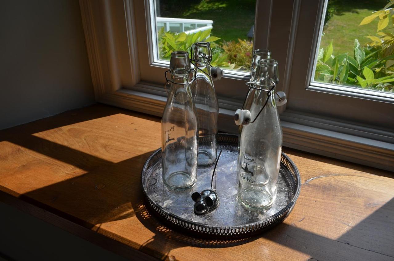 Bow Mill Farm Bed & Breakfast Тотнис Екстериор снимка